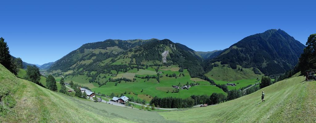 Apartment Haus Gold Fusch an der Grossglocknerstrasse Экстерьер фото